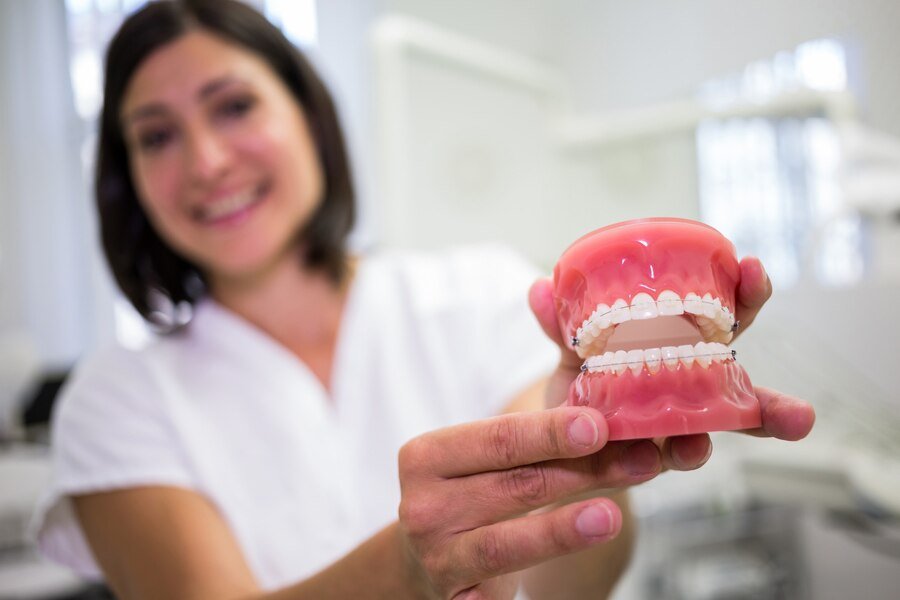 Dentist holding dental model demonstrating oral health and restorative dentistry services at Harborside Dental in Gloucester, MA.